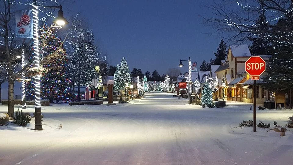 Bigbearvillage